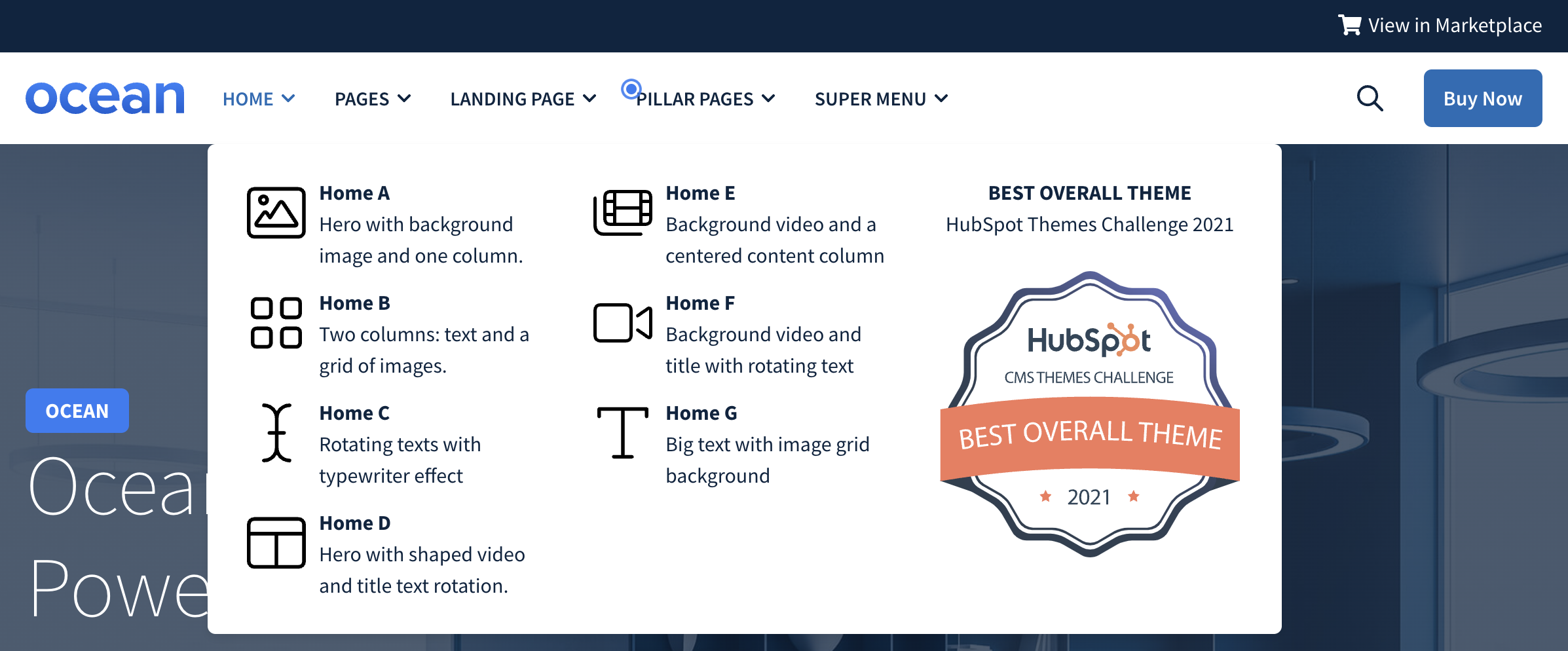 Global Header HubSpot theme.